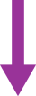 Purple arrow pointing downwards